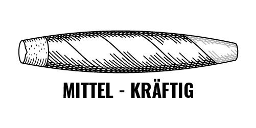 Sta_rke_Mittel-Kra_ftig